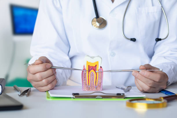 Best Dentist for Dental Trauma  in East Rockaway, NY